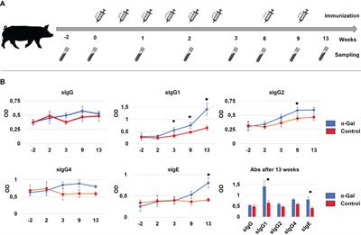 Gene-edited pigs: a translational model for human food allergy against alpha-Gal and anaphylaxis